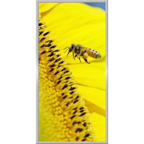 Infraobraz Včela 60x120cm (600W)